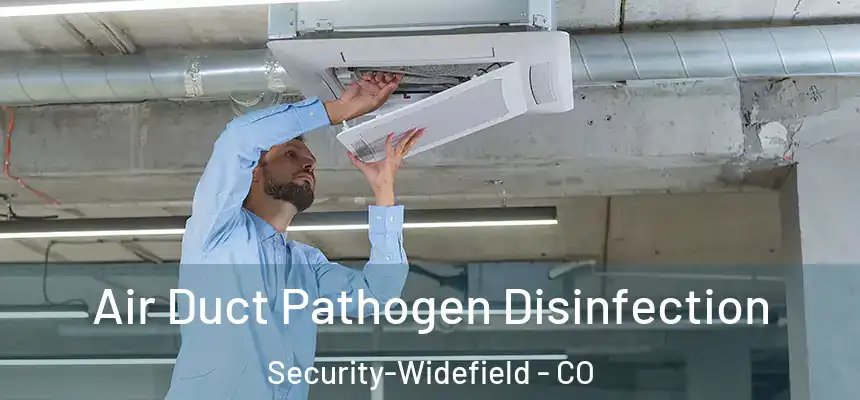  Air Duct Pathogen Disinfection Security-Widefield - CO