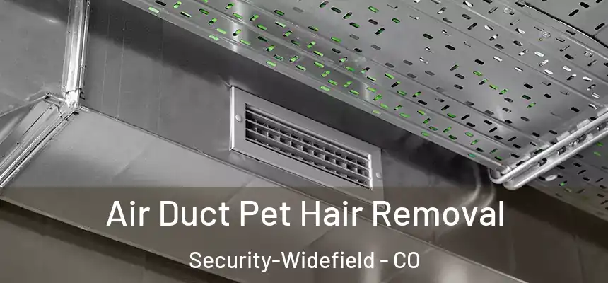Air Duct Pet Hair Removal Security-Widefield - CO