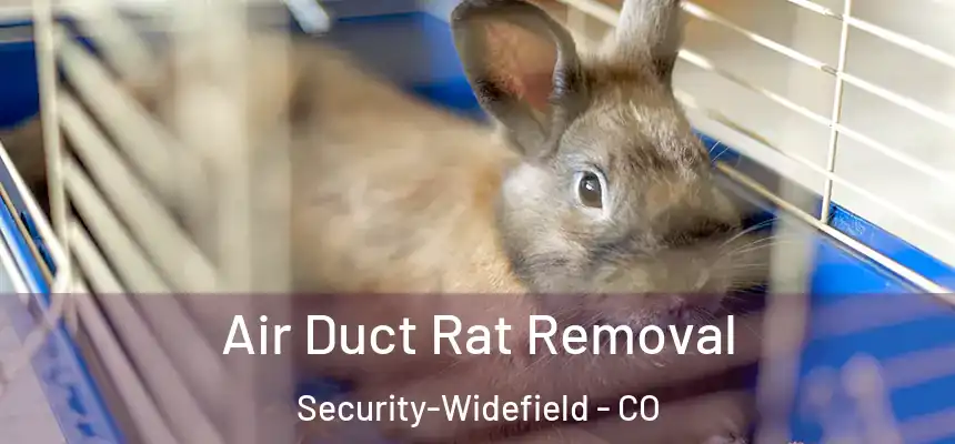  Air Duct Rat Removal Security-Widefield - CO