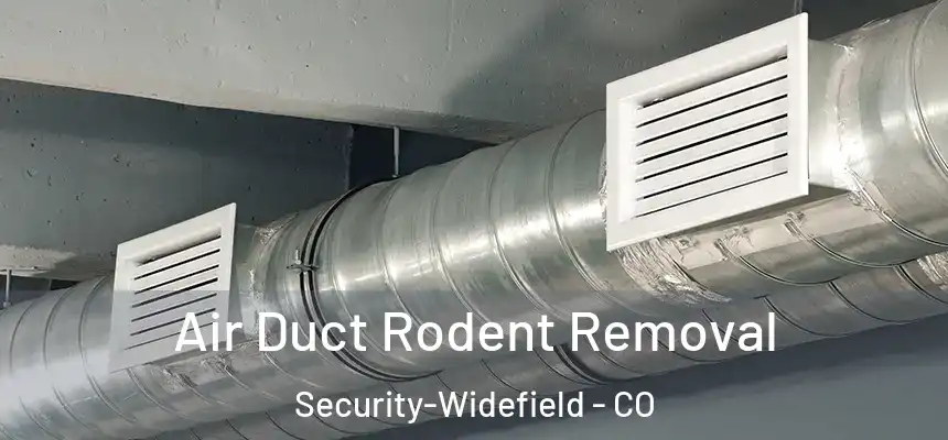  Air Duct Rodent Removal Security-Widefield - CO