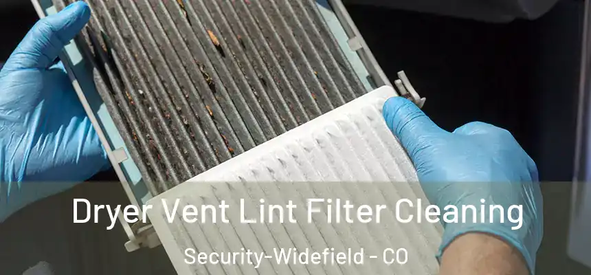  Dryer Vent Lint Filter Cleaning Security-Widefield - CO