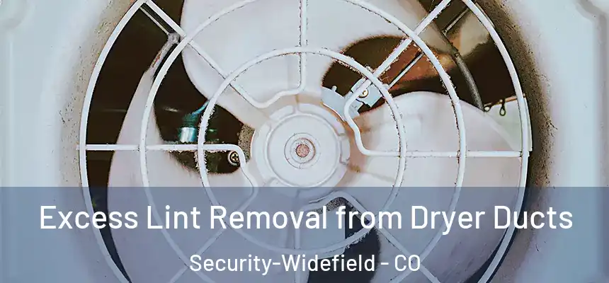  Excess Lint Removal from Dryer Ducts Security-Widefield - CO