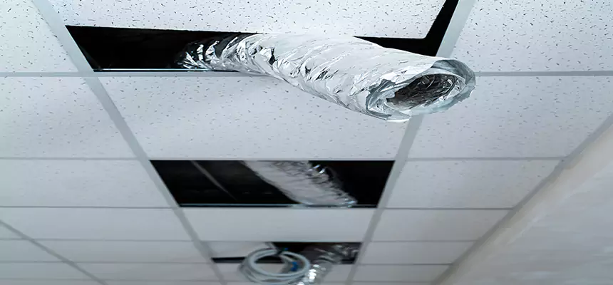 Affordable HVAC Sanitizing After Pest Removal in Security-Widefield