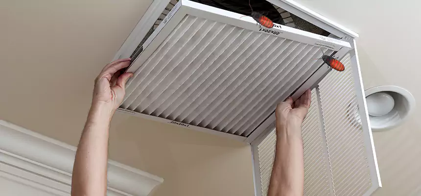 Our Insect Removal from Air Ducts Services in Security-Widefield, CO