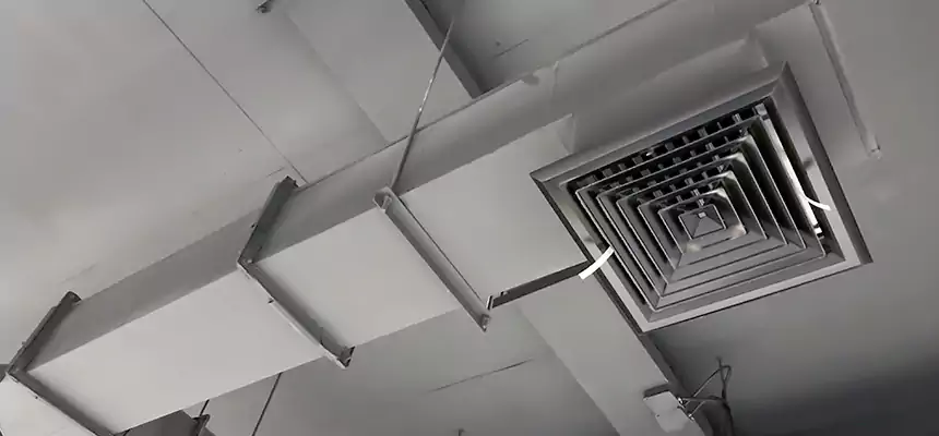 Our Rodent Droppings In Vents Services in Security-Widefield, CO