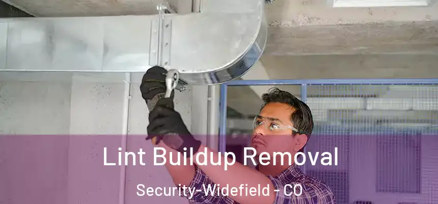  Lint Buildup Removal Security-Widefield - CO