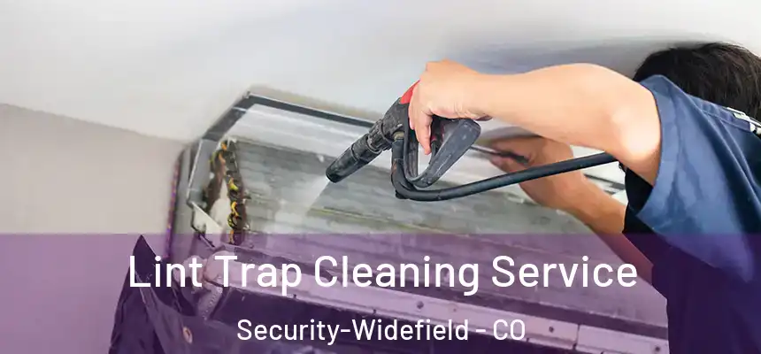 Lint Trap Cleaning Service Security-Widefield - CO