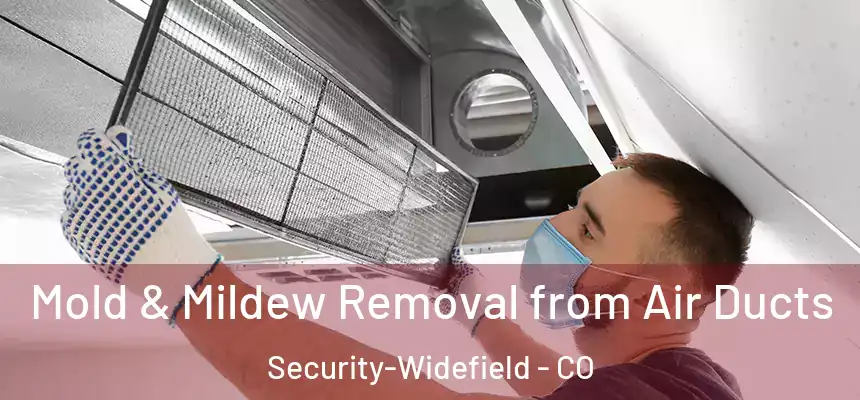  Mold & Mildew Removal from Air Ducts Security-Widefield - CO