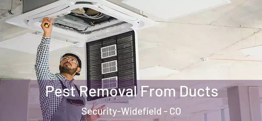  Pest Removal From Ducts Security-Widefield - CO