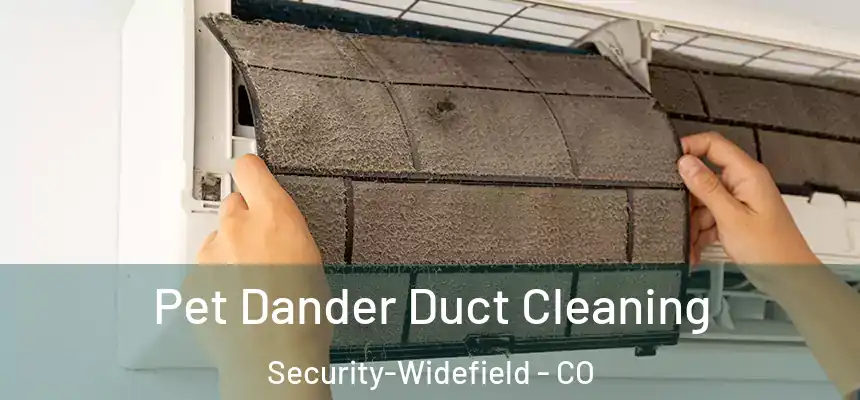  Pet Dander Duct Cleaning Security-Widefield - CO