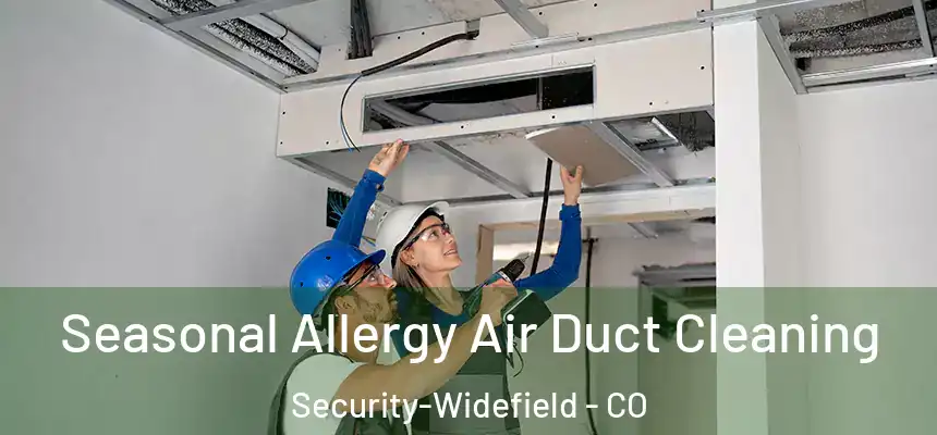 Seasonal Allergy Air Duct Cleaning Security-Widefield - CO