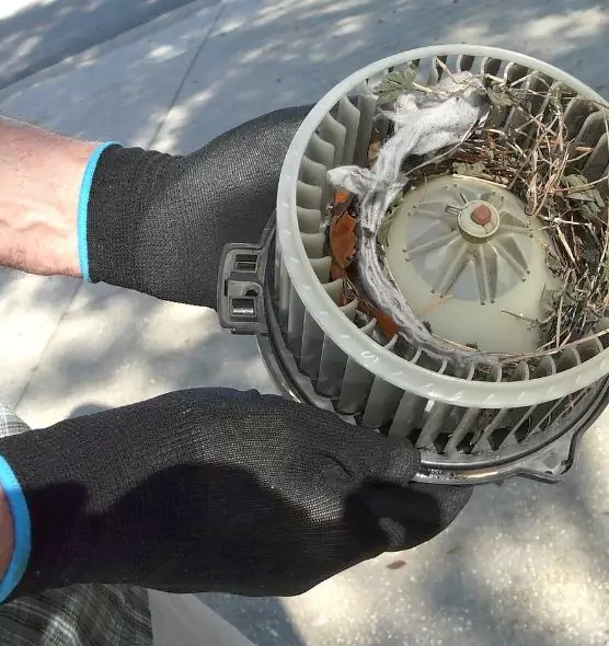 About Air Duct Rat Removal in Security-Widefield, CO