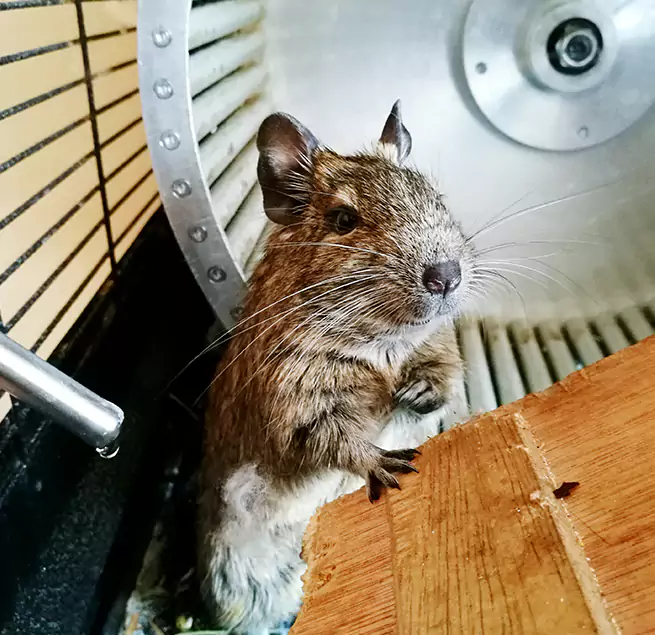 Why Homeowners & Businesses Trust Us Security-Widefield, CO?